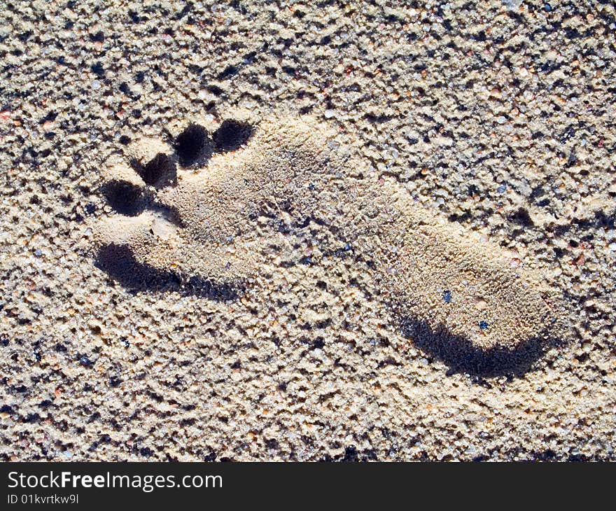 Footprints in the sand of the beach - Brazil