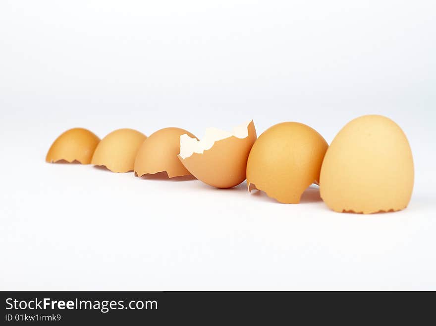 Six eggs shells in row