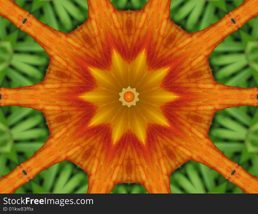 Photo of a flower altered into a kaleidoscope. Photo of a flower altered into a kaleidoscope