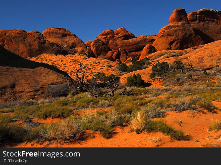 Arches National Park