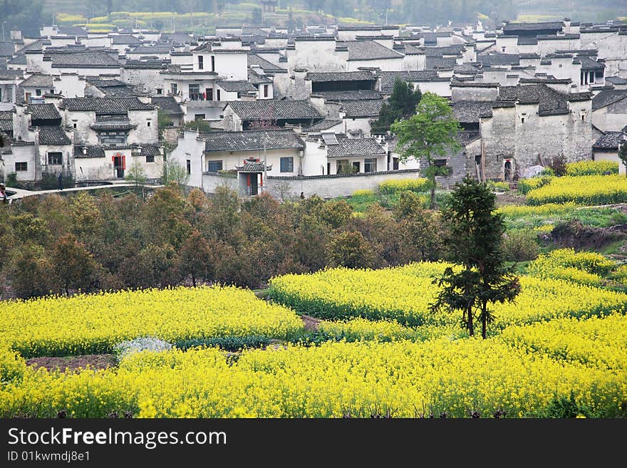 China's rural landscape, rape and villages,anhui. China's rural landscape, rape and villages,anhui