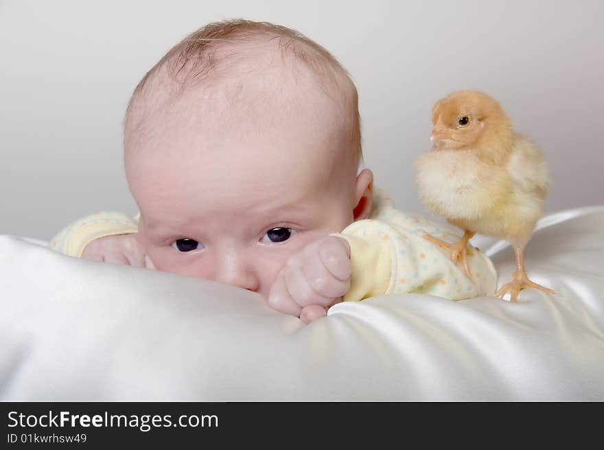 Infant and chicken, friendship, fragility, trust. Infant and chicken, friendship, fragility, trust