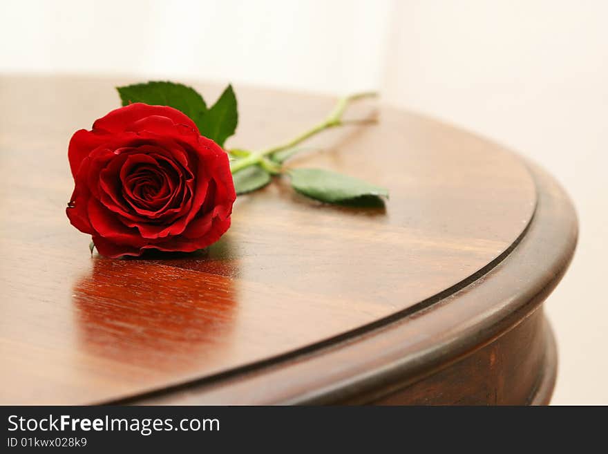 Classic Red rose on a varnished wooden table top