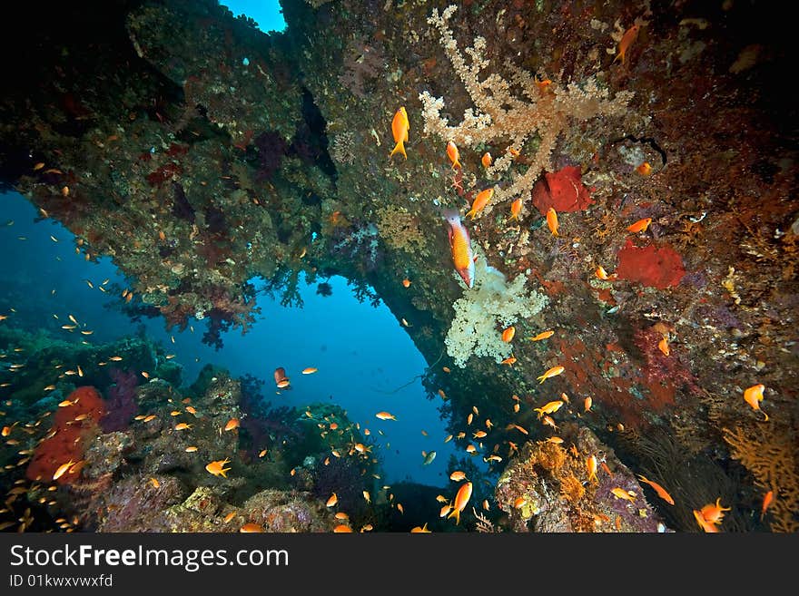 Parts of the stern of the Dunraven