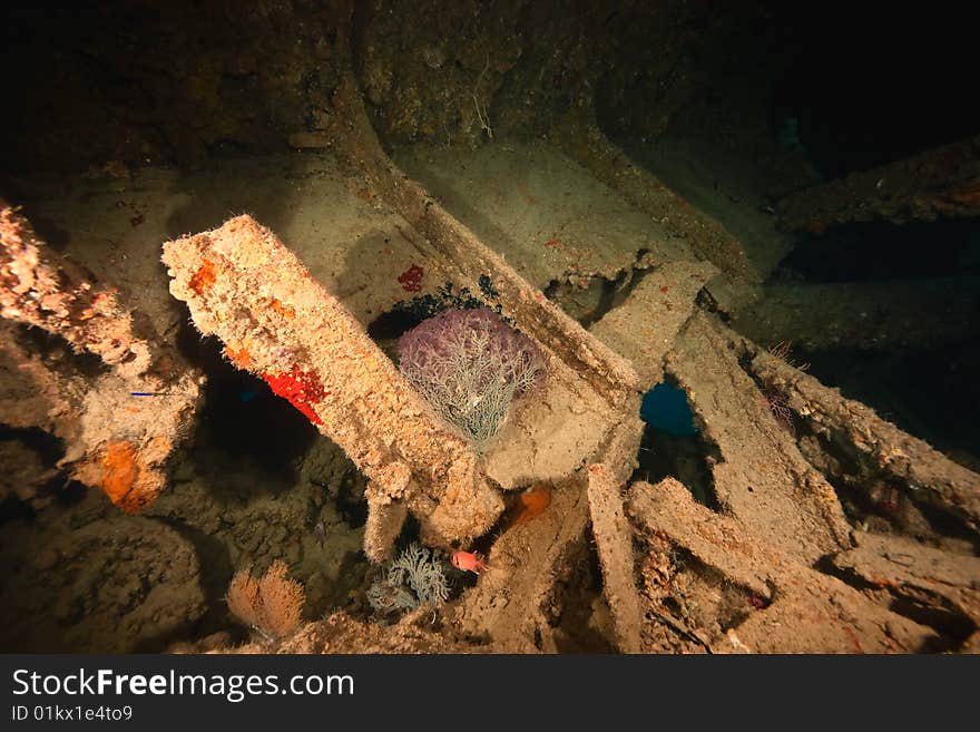 Parts of the stern of the Dunraven