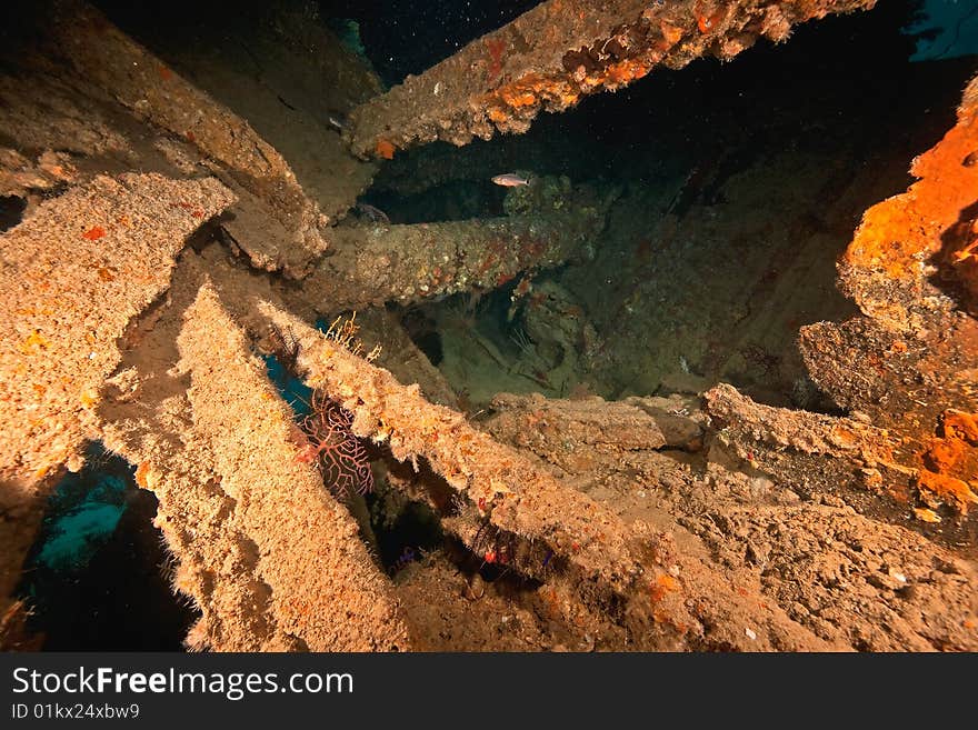 Parts of the stern of the Dunraven