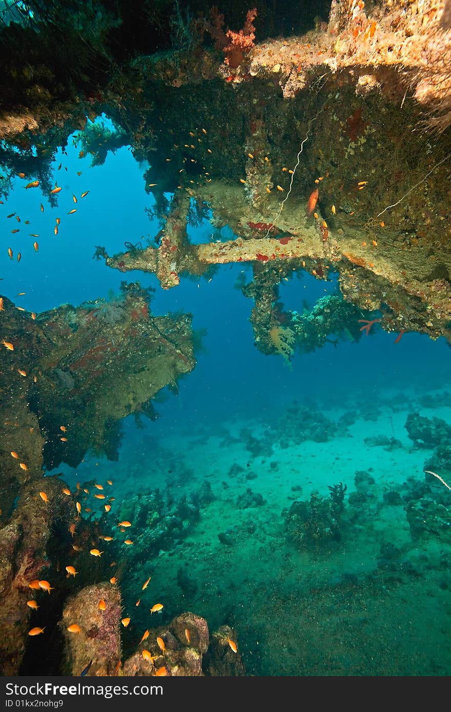 Parts of the stern of the Dunraven