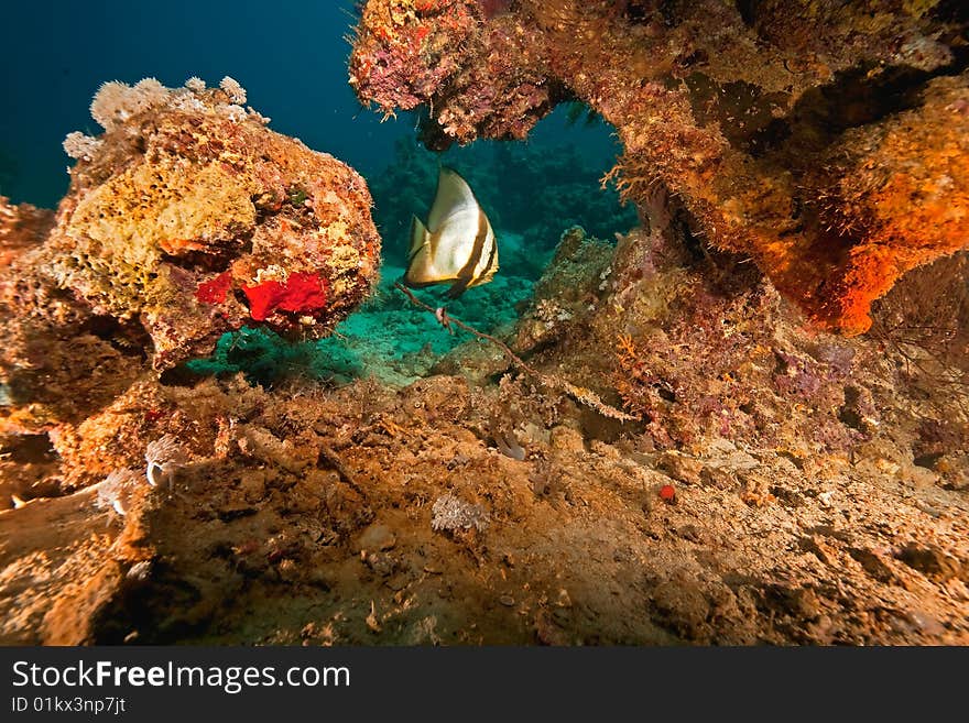 Parts of the stern of the Dunraven