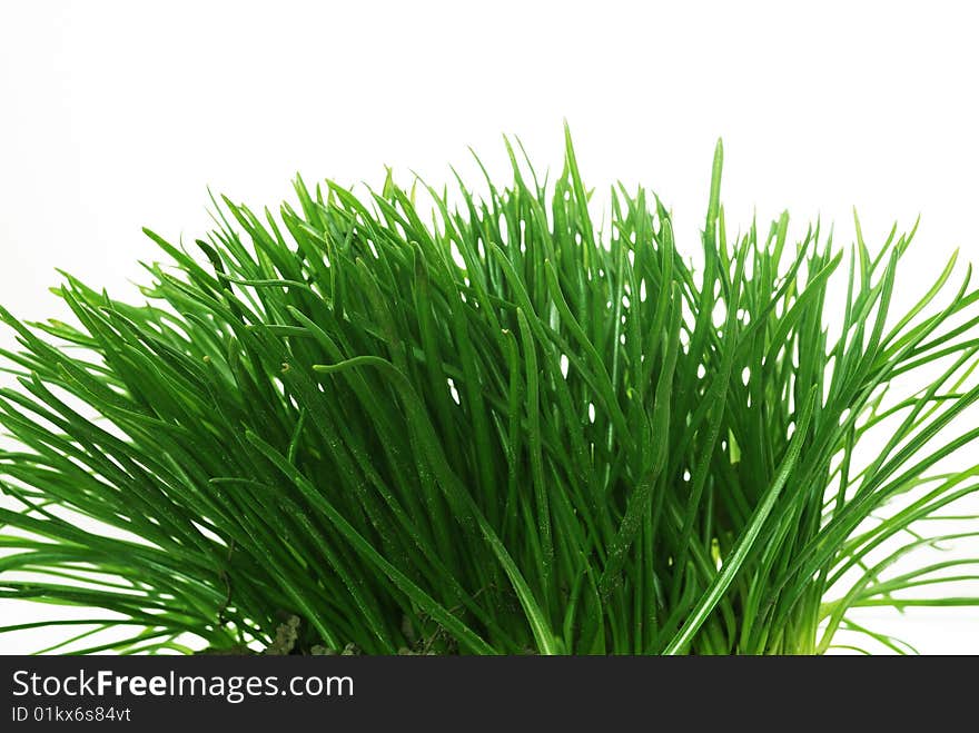 Decoration grass