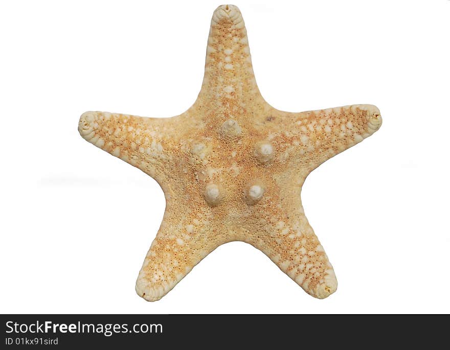 Starfish