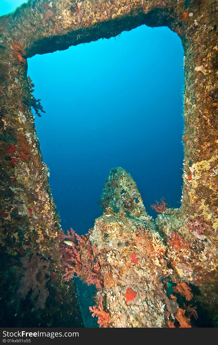 Propeller of the dunraven