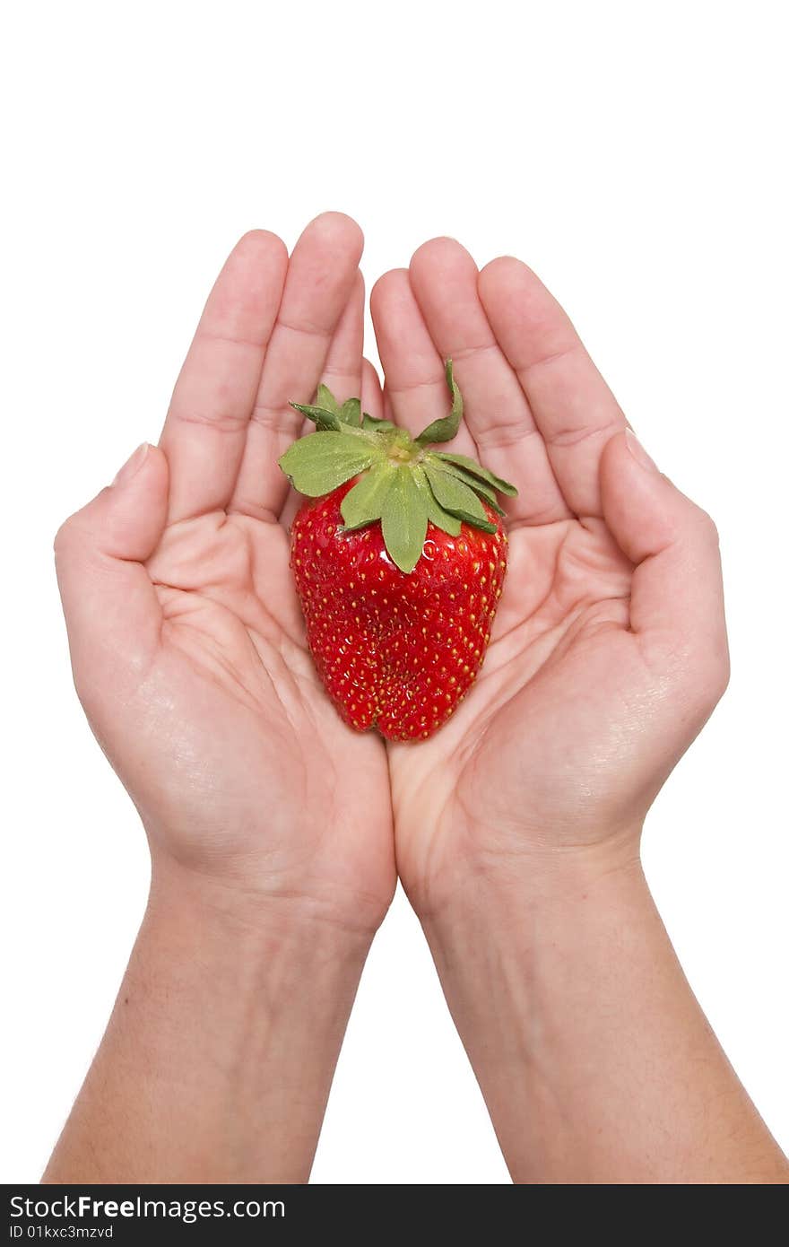 Woman hand olding one strawberry. Woman hand olding one strawberry