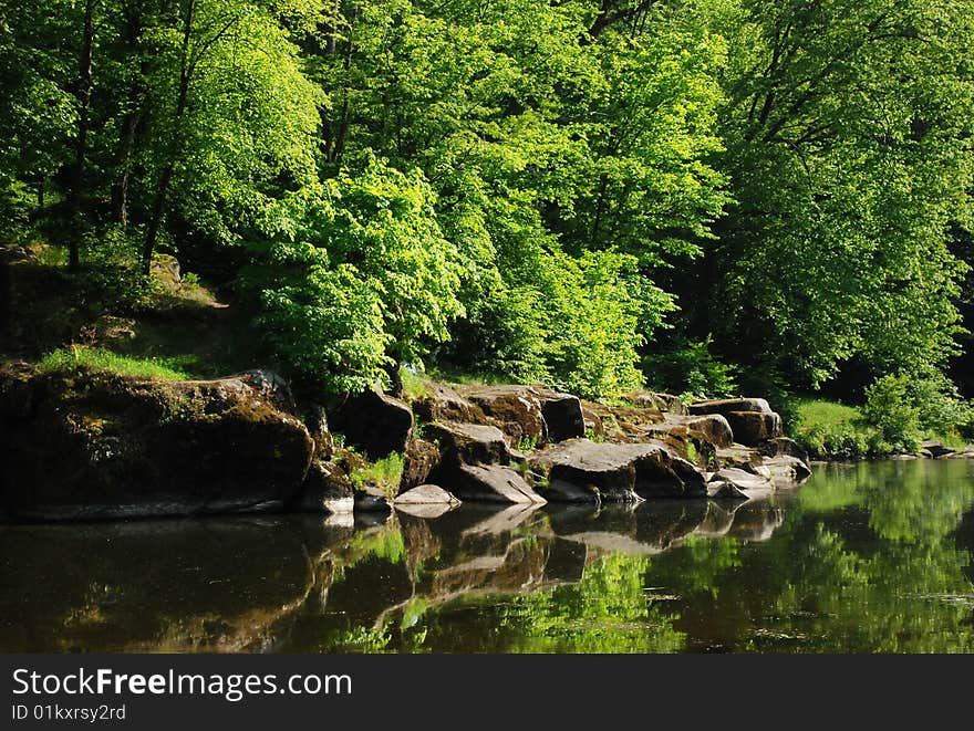 River at summer time