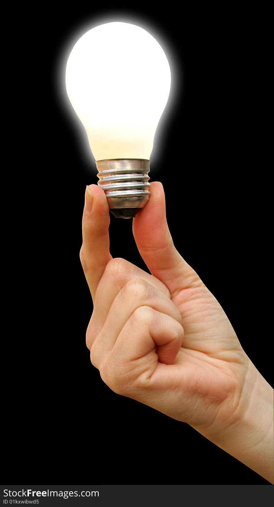 Bulb in a hand on a background