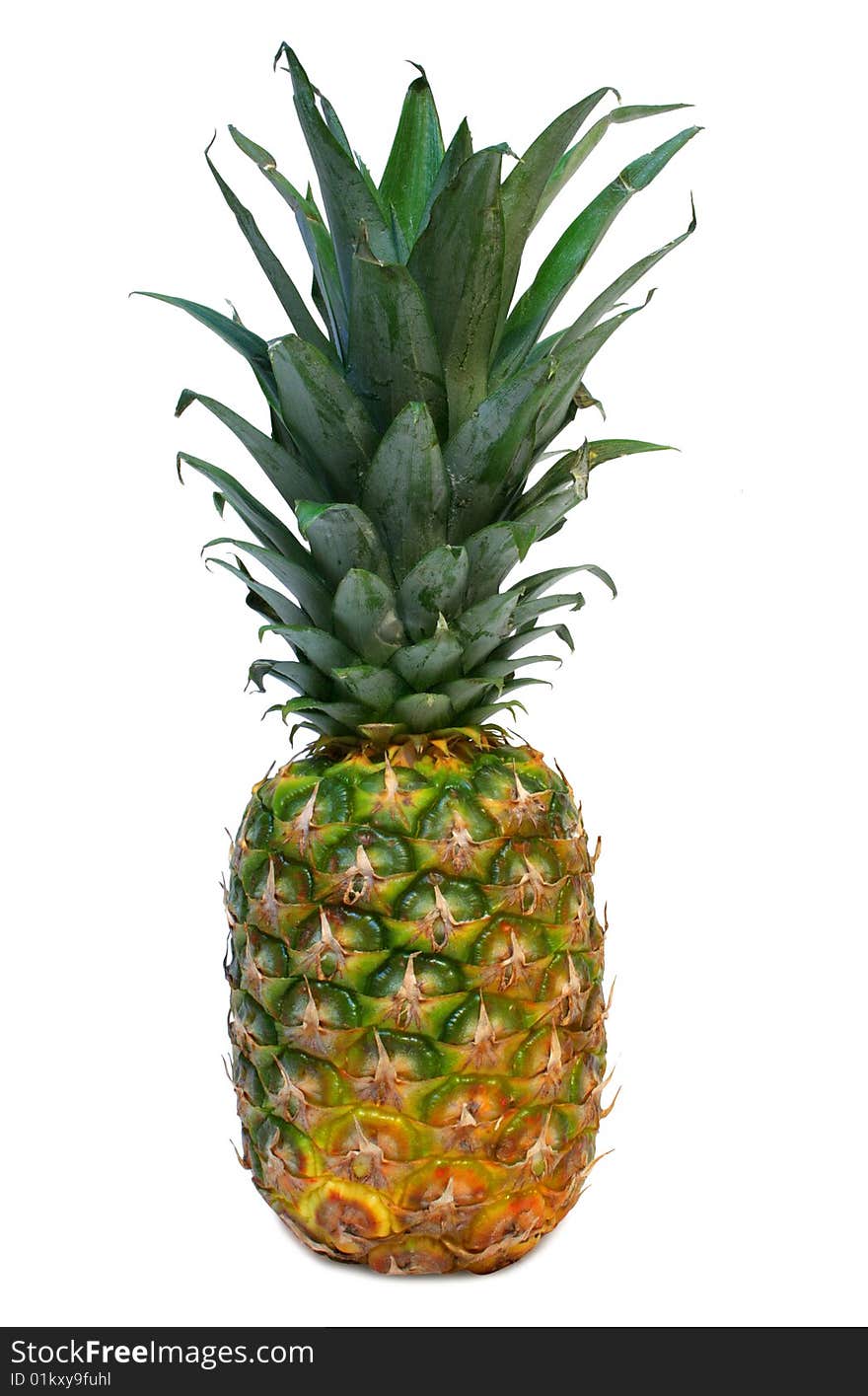 Pineapple