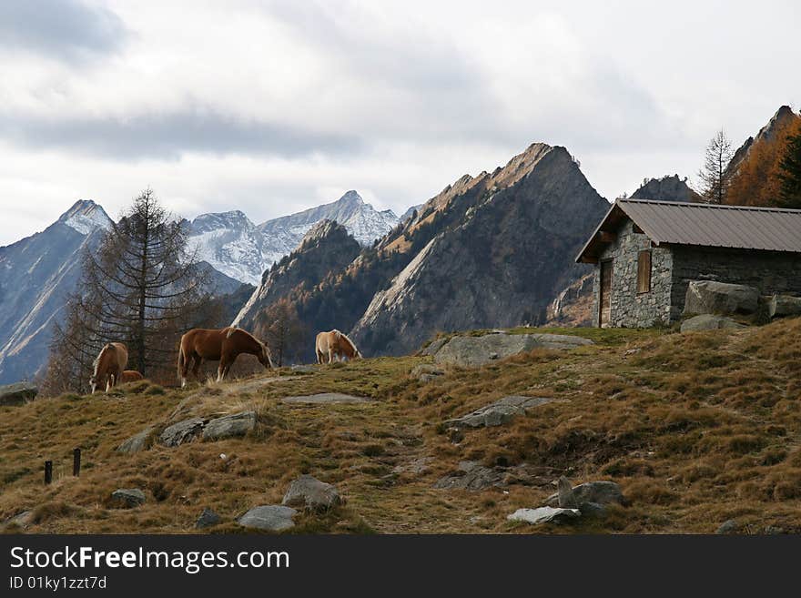 Mountain chalet on alps