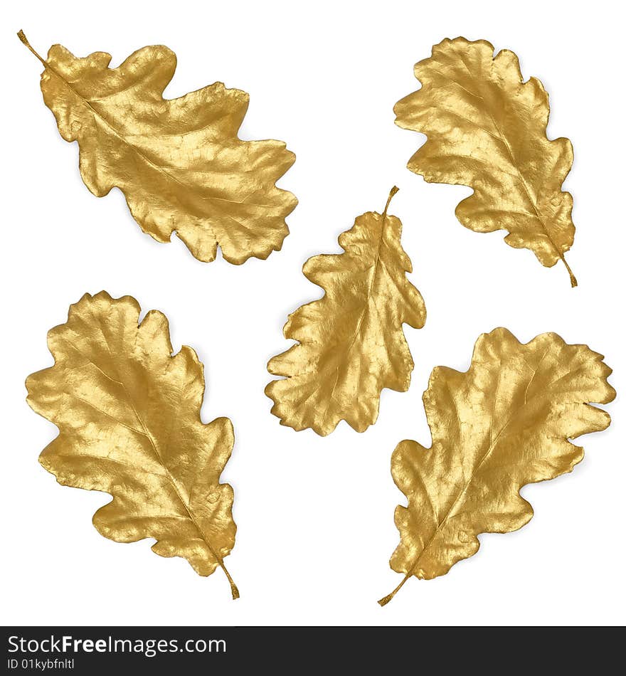 Golden Oak Leaves