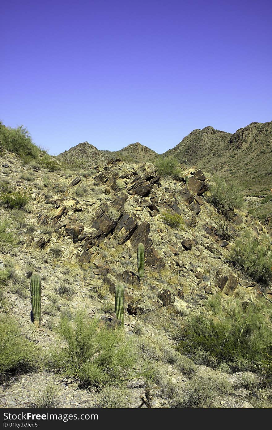 Arizona mountain against a blue sky, in vertical orientation