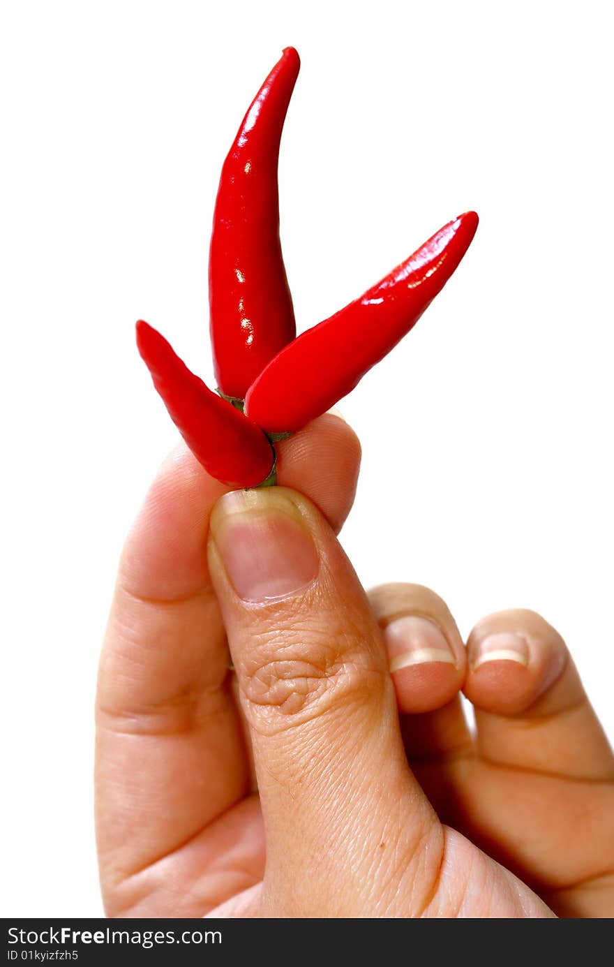 Close up capture on hand hold red spicy chili. Close up capture on hand hold red spicy chili