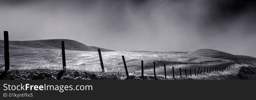 Coastline pasture