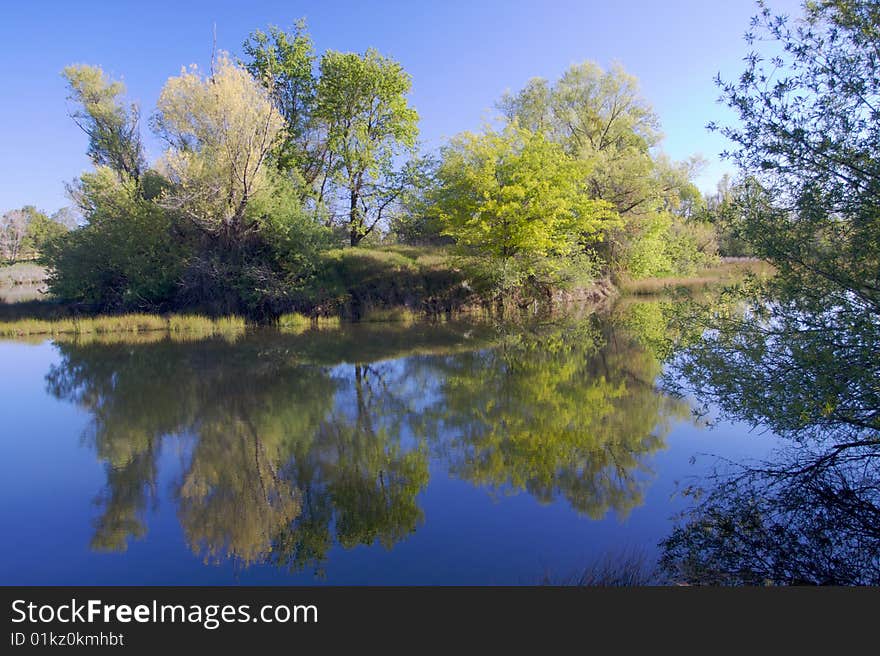 American River Pond with Reflection 2