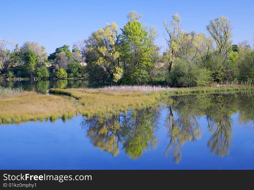 American River Pond with Reflection 3