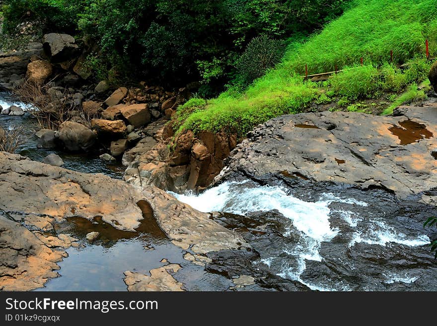 A beautiful and vibrant scene with stream water flowing. A beautiful and vibrant scene with stream water flowing.