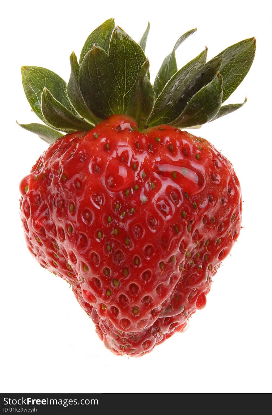 Fresh Strawberry