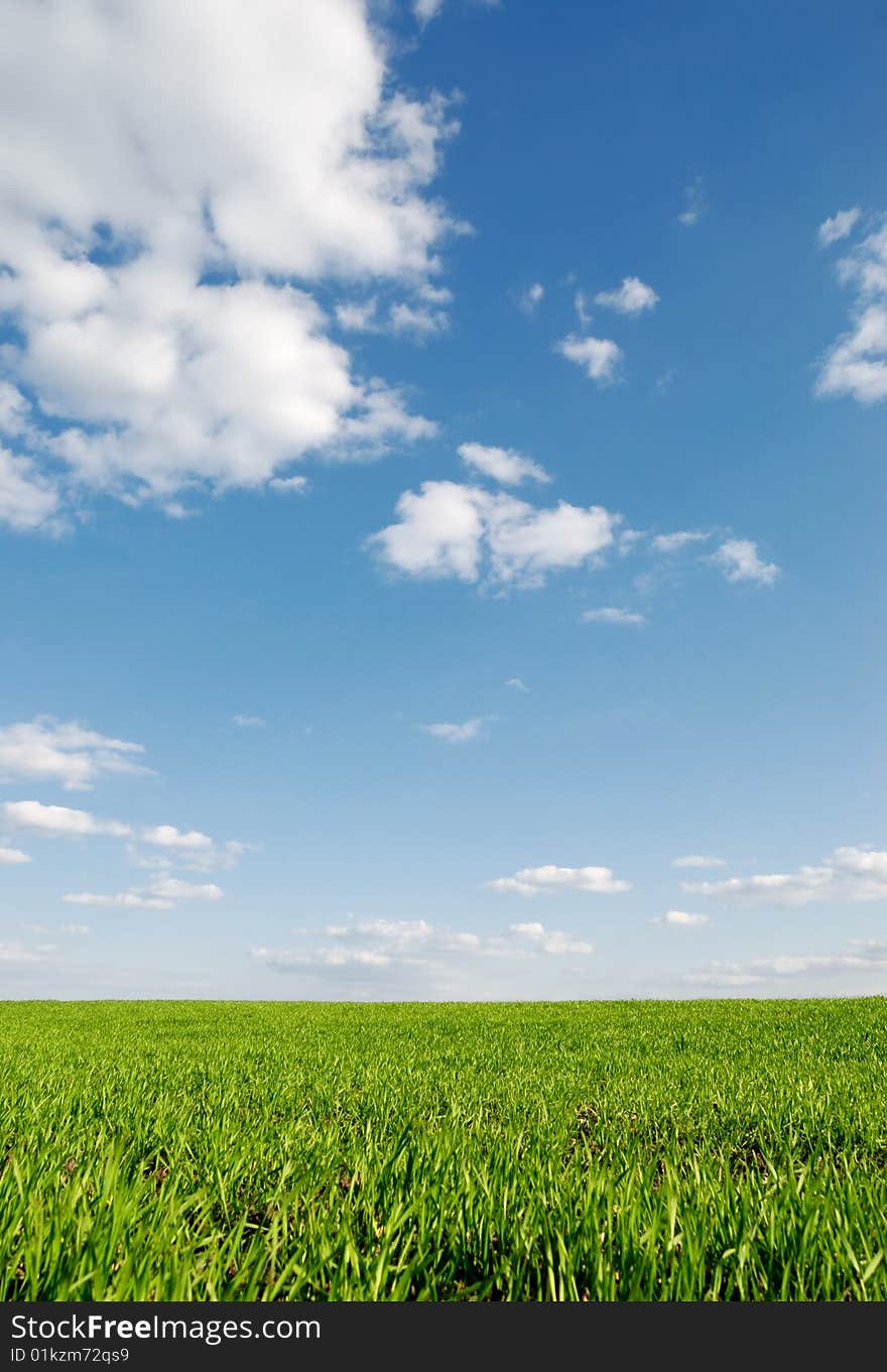 Spring green field under blue sky. Spring green field under blue sky