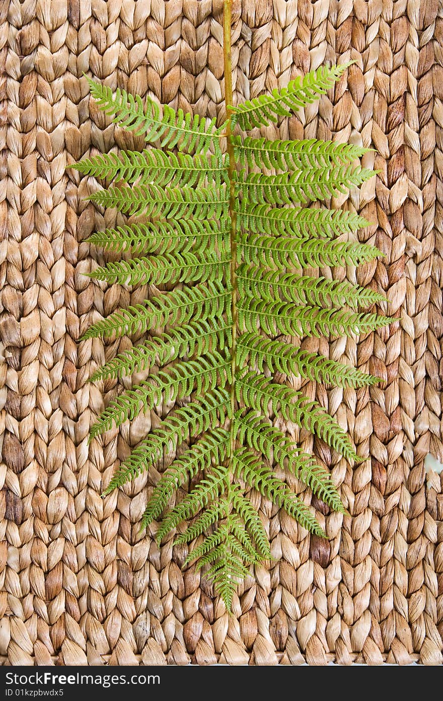 Fren leaf on a grass mat shot at a day spa
