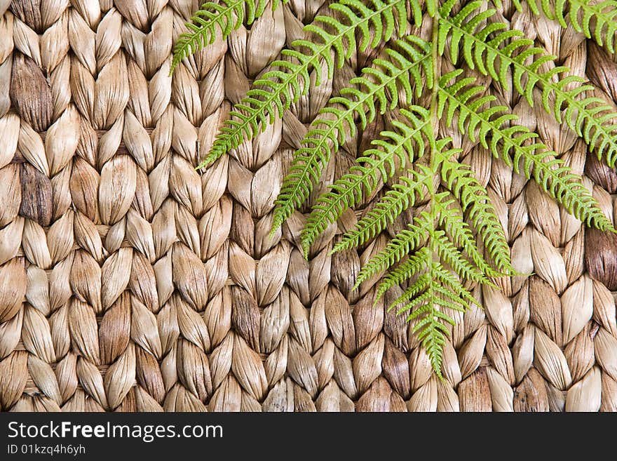 Fren leaf on a grass mat shot at a day spa