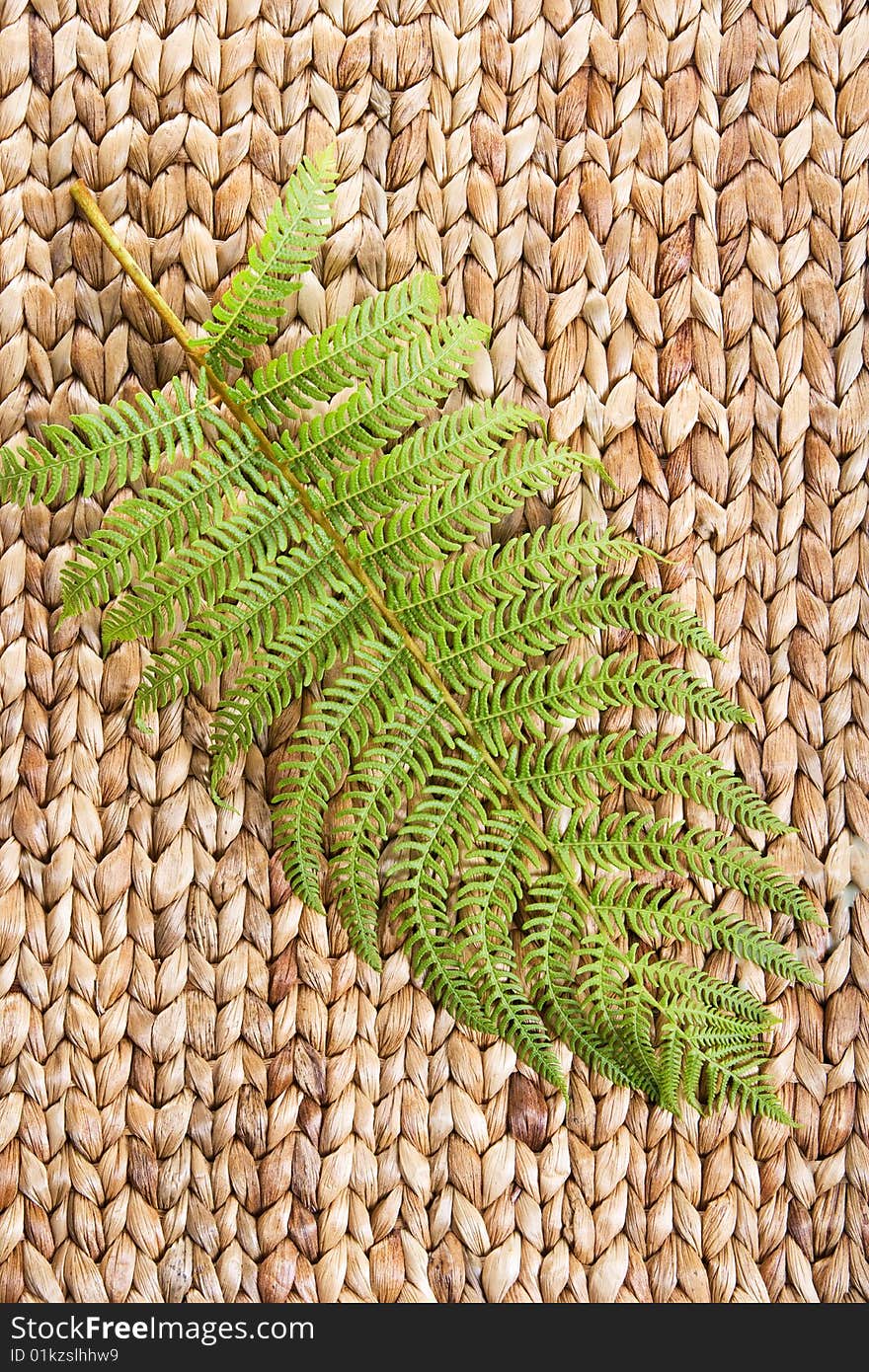 Fern leaf on a grass mat shot at a day spa