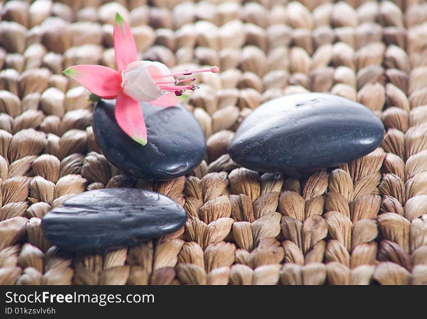 Zen stones with pink flowers on a grass matte