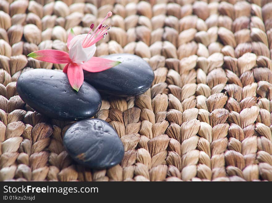 Zen Stones With Pink Flowers