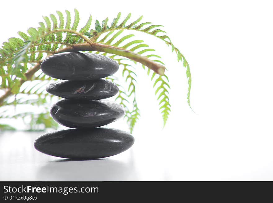 Zen stones with a fern isolated on white