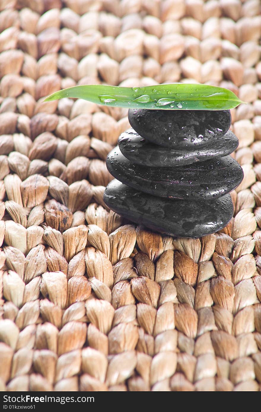 Fren leaf on a grass mat shot at a day spa