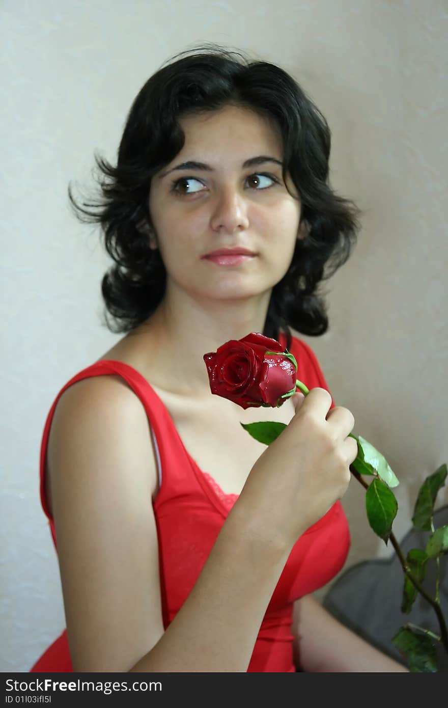 The beautiful girl holds a scarlet rose. The beautiful girl holds a scarlet rose