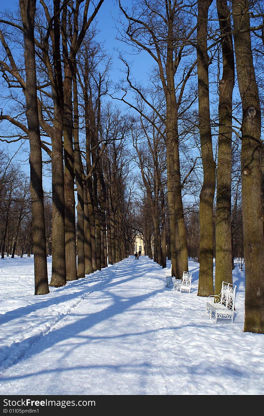 Winter path in Tzarskoe Selo (near Saint-Petersburg)