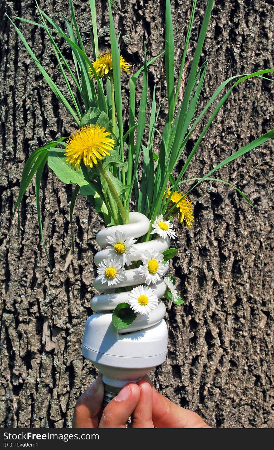 Eco Light Bulb With Flowers