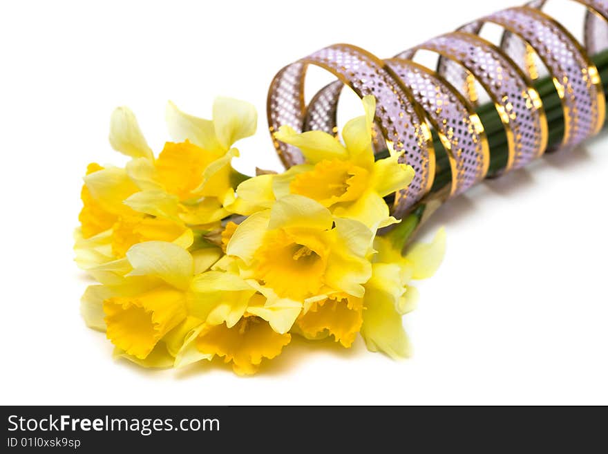 Yellow Daffodil With Ribbon