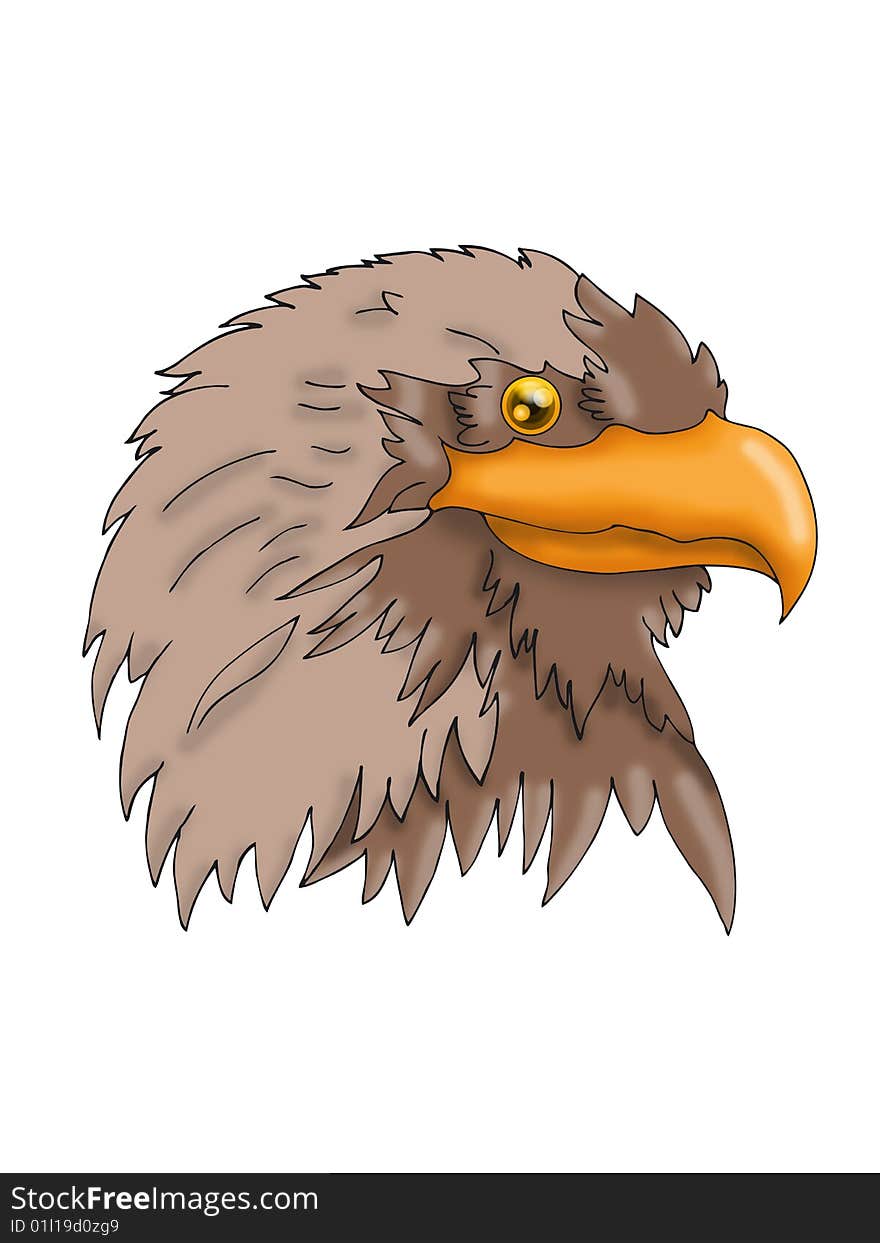 Vector illustration of sea eagle head, symbol of the united states of america and numerous football and ice hockey teams around the world.