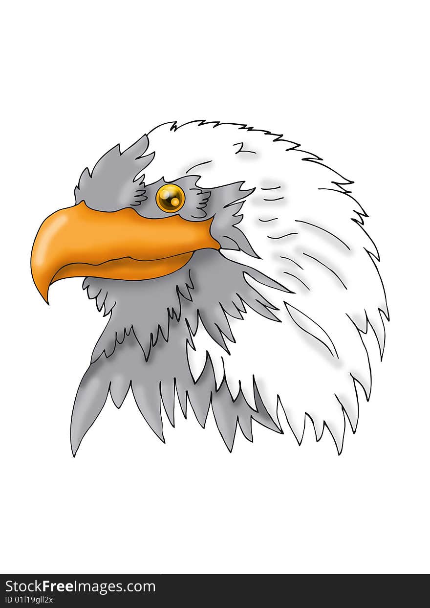 Vector illustration of sea eagle head, symbol of the united states of america and numerous football and ice hockey teams around the world. Vector illustration of sea eagle head, symbol of the united states of america and numerous football and ice hockey teams around the world.