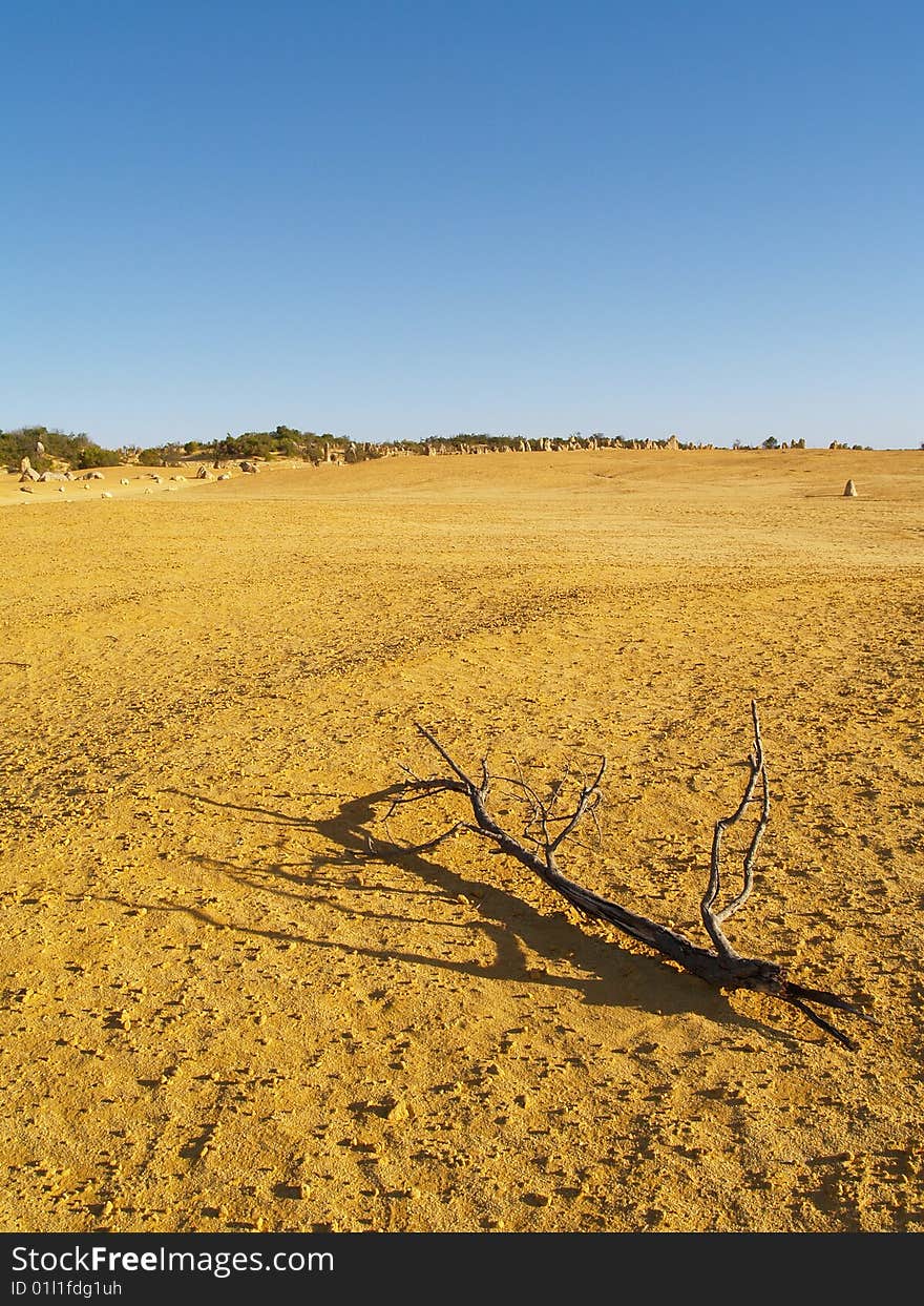 Pinnacles desert in western australia