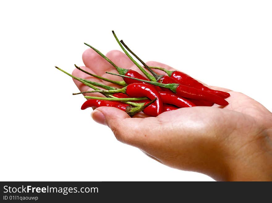 Close up capture on hand hold red spicy chili. Close up capture on hand hold red spicy chili