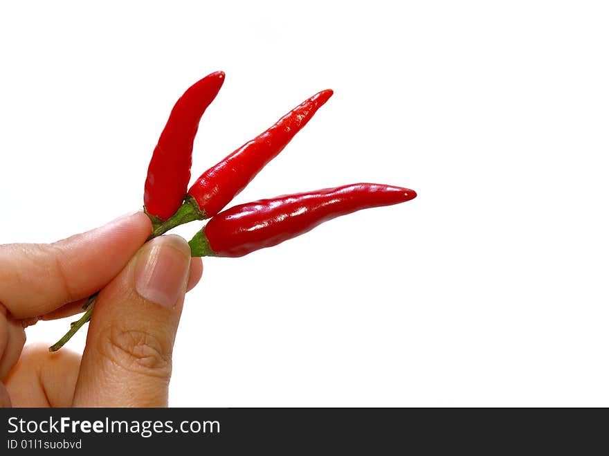 Close up capture on hand hold red spicy chili. Close up capture on hand hold red spicy chili