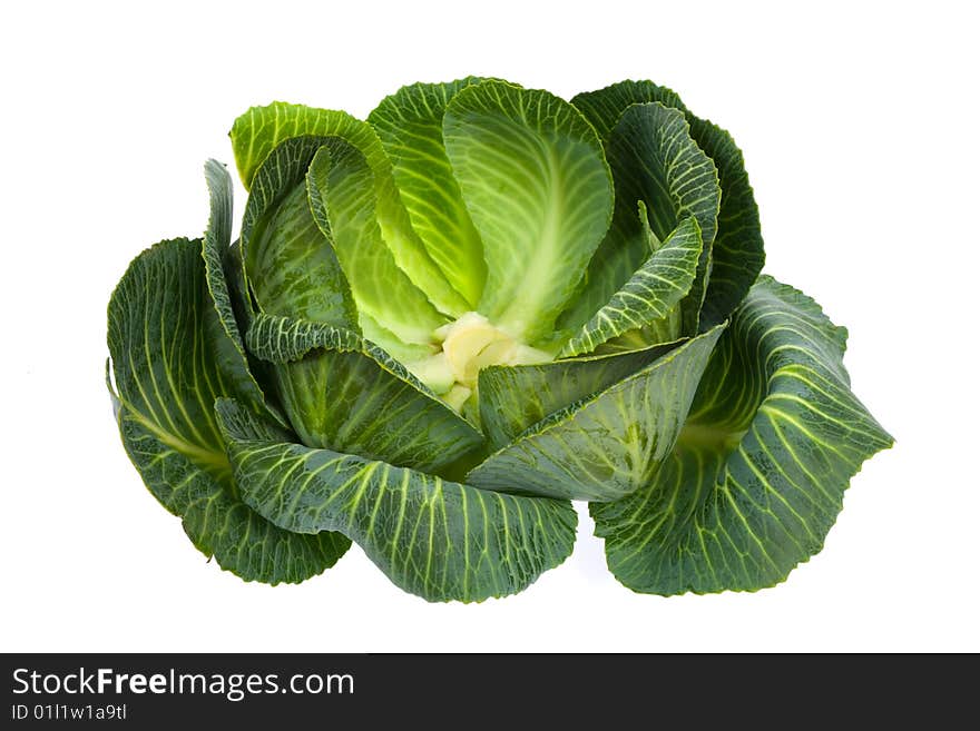 Cabbage isolated on white