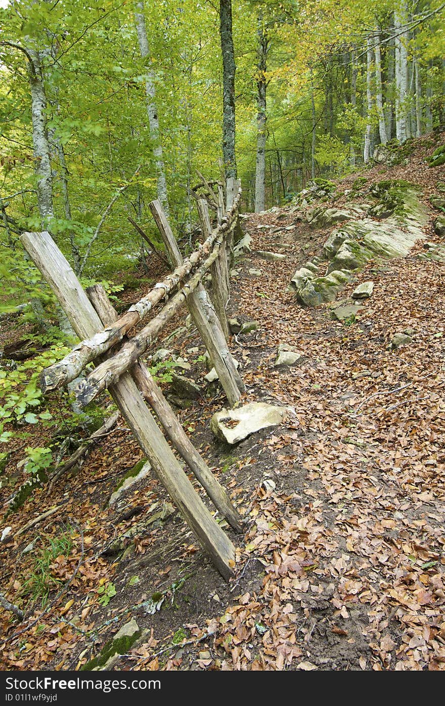 Road and fence in autumn in the forest Irati. Road and fence in autumn in the forest Irati