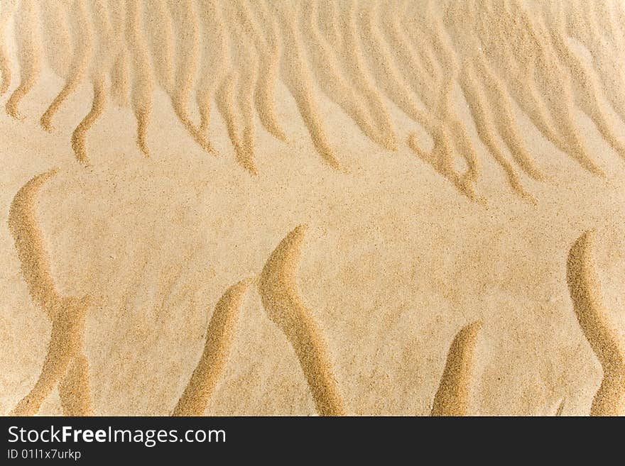 Beautiful sand background in Palanga, Lithuania