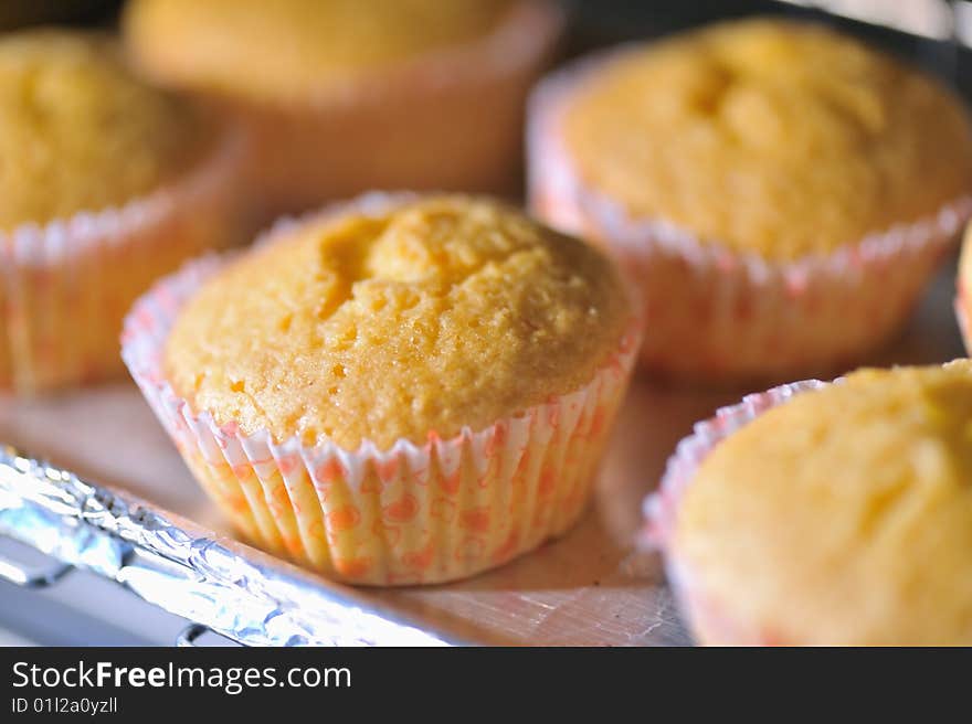 Muffin Series 4