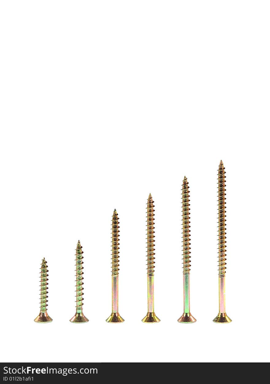 Golden Brass Wood Screws on white background macro.